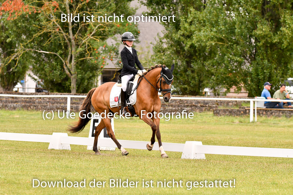 Goldene Schärpe Ponys in Hohenberg Krusemark 2024 | 12072024 Dressur _0889 