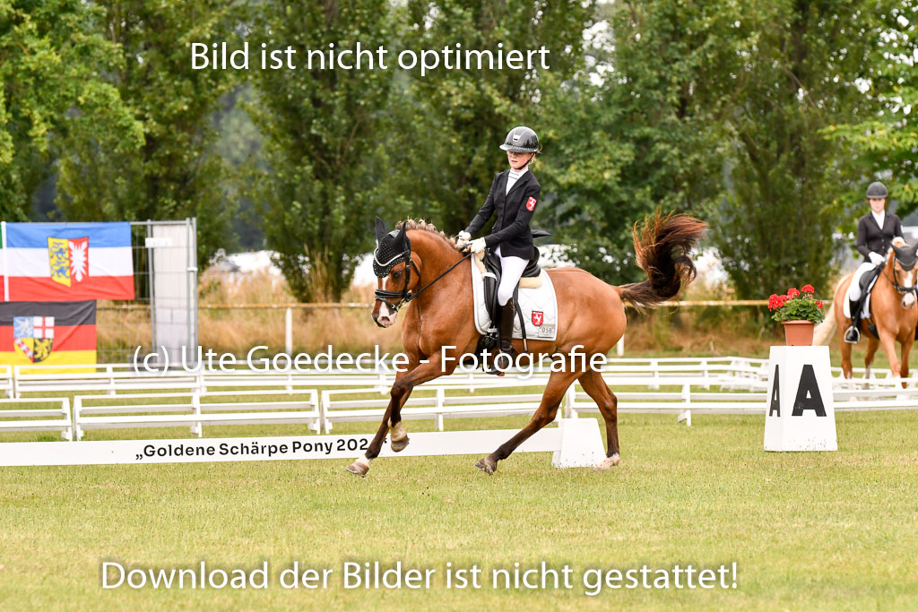 Goldene Schärpe Ponys in Hohenberg Krusemark 2024 | 12072024 Dressur _0892 