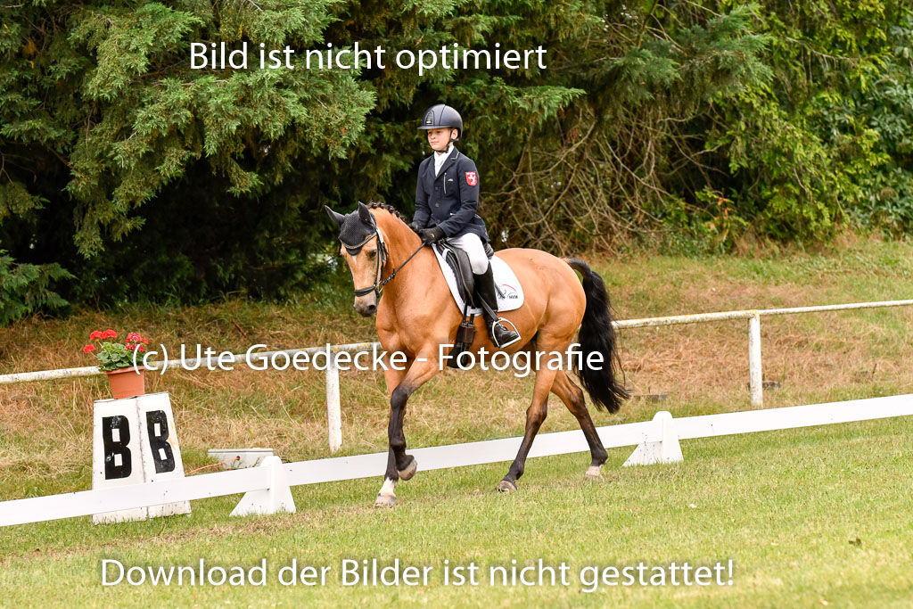 Goldene Schärpe Ponys in Hohenberg Krusemark 2024 | 12072024 Dressur _0893 