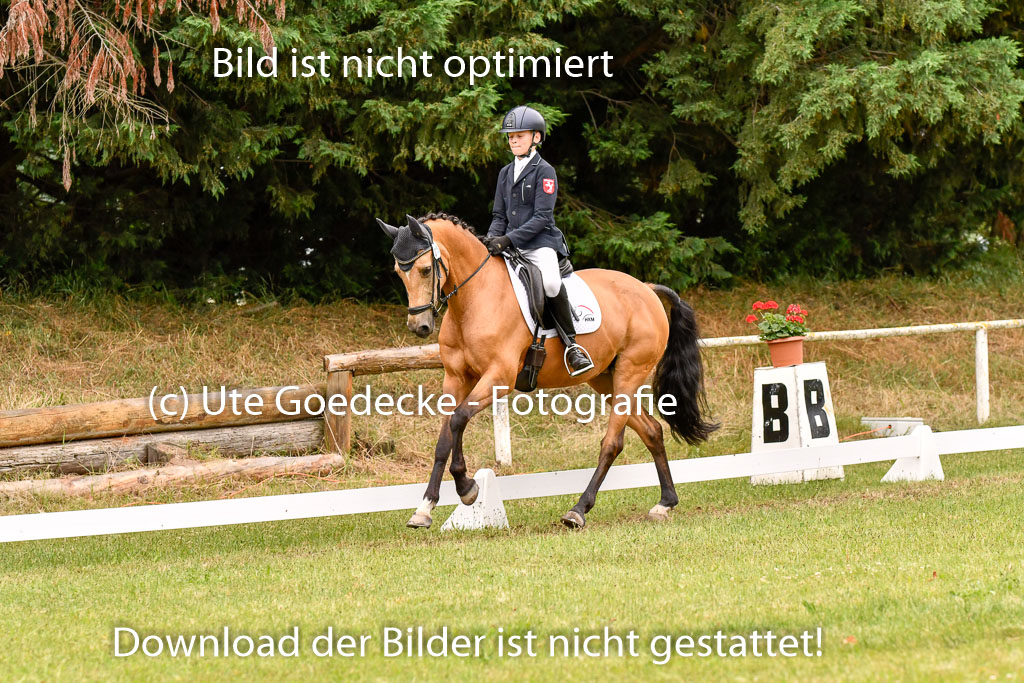 Goldene Schärpe Ponys in Hohenberg Krusemark 2024 | 12072024 Dressur _0894 