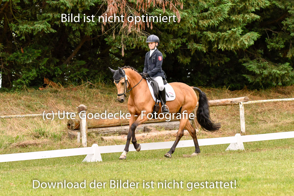 Goldene Schärpe Ponys in Hohenberg Krusemark 2024 | 12072024 Dressur _0895 