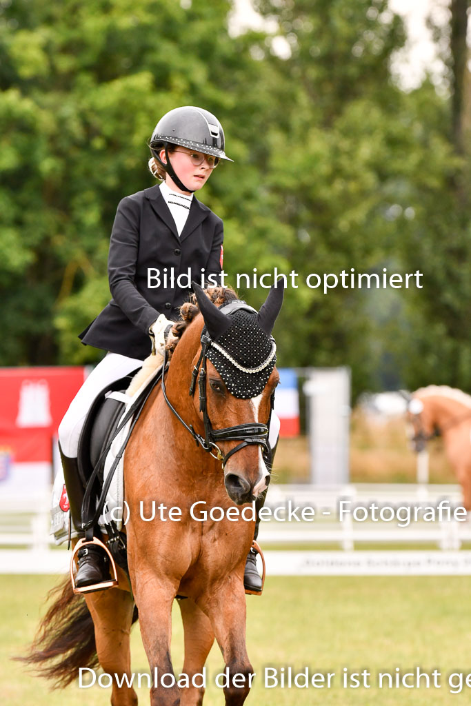 Goldene Schärpe Ponys in Hohenberg Krusemark 2024 | 12072024 Dressur _0896 