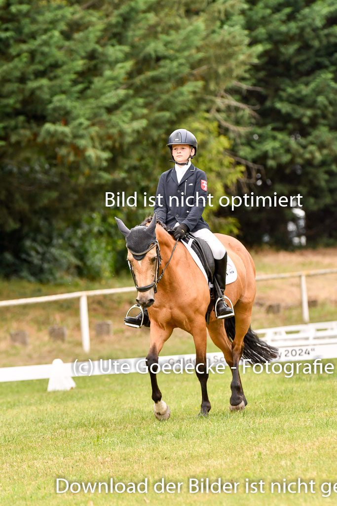 Goldene Schärpe Ponys in Hohenberg Krusemark 2024 | 12072024 Dressur _0897 