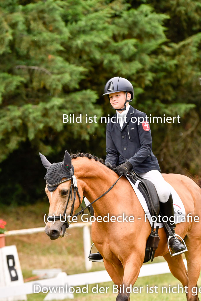 Goldene Schärpe Ponys in Hohenberg Krusemark 2024 | 12072024 Dressur _0900 