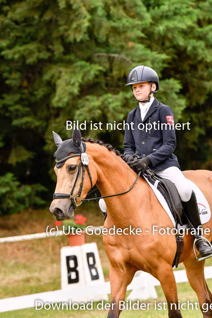 Goldene Schärpe Ponys in Hohenberg Krusemark 2024 | 12072024 Dressur _0901 