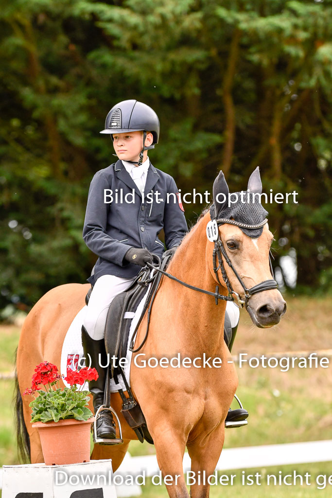 Goldene Schärpe Ponys in Hohenberg Krusemark 2024 | 12072024 Dressur _0902
