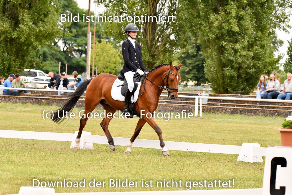 Goldene Schärpe Ponys in Hohenberg Krusemark 2024 | 12072024 Dressur _0903