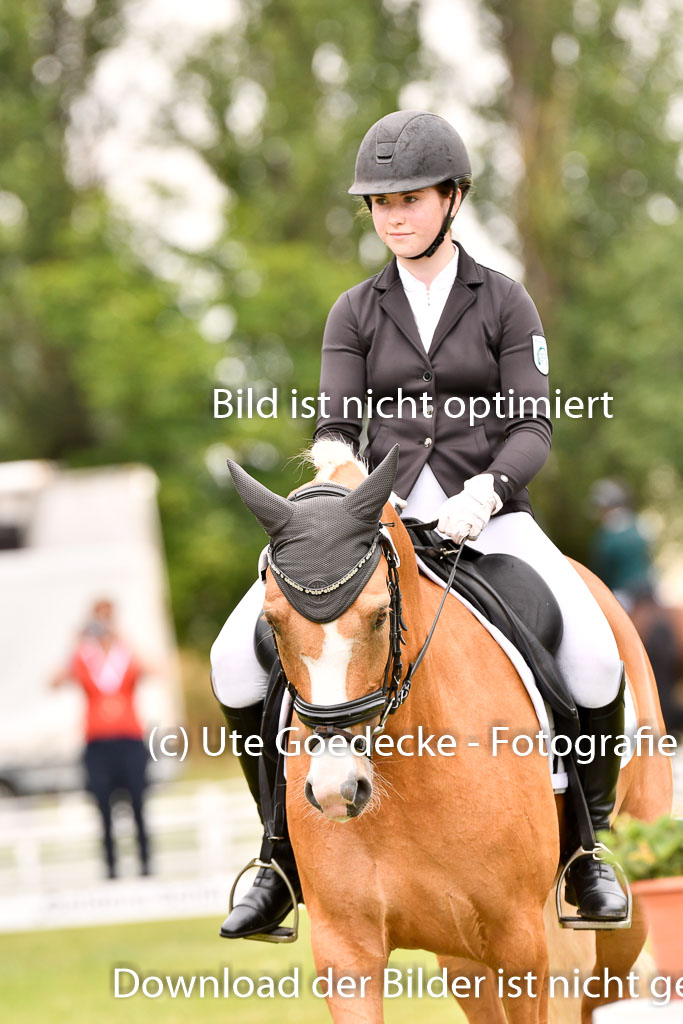 Goldene Schärpe Ponys in Hohenberg Krusemark 2024 | 12072024 Dressur _0904 