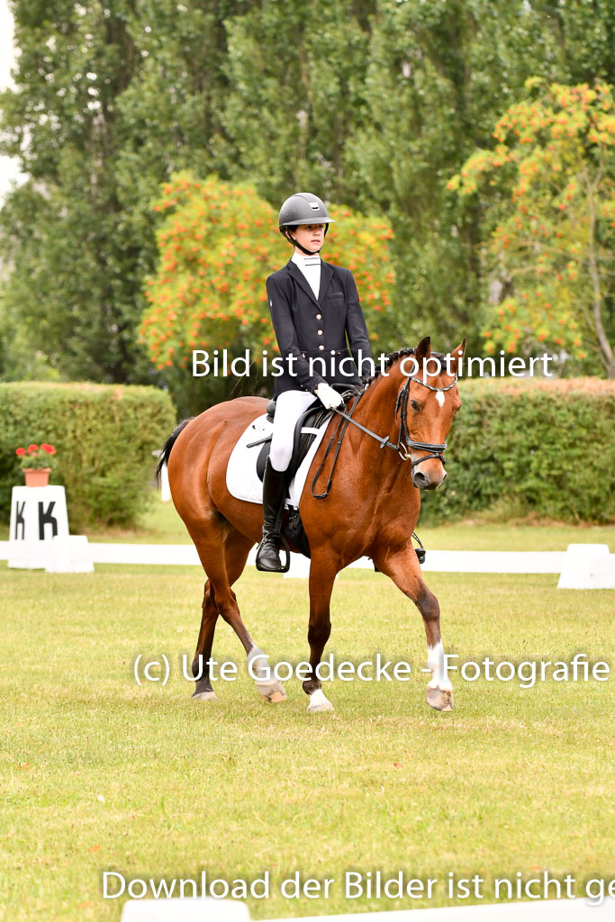 Goldene Schärpe Ponys in Hohenberg Krusemark 2024 | 12072024 Dressur _0905