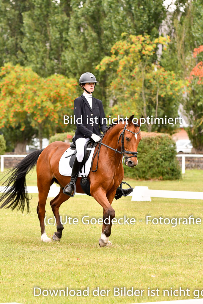 Goldene Schärpe Ponys in Hohenberg Krusemark 2024 | 12072024 Dressur _0906