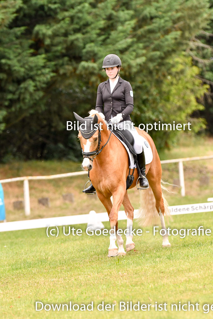 Goldene Schärpe Ponys in Hohenberg Krusemark 2024 | 12072024 Dressur _0907