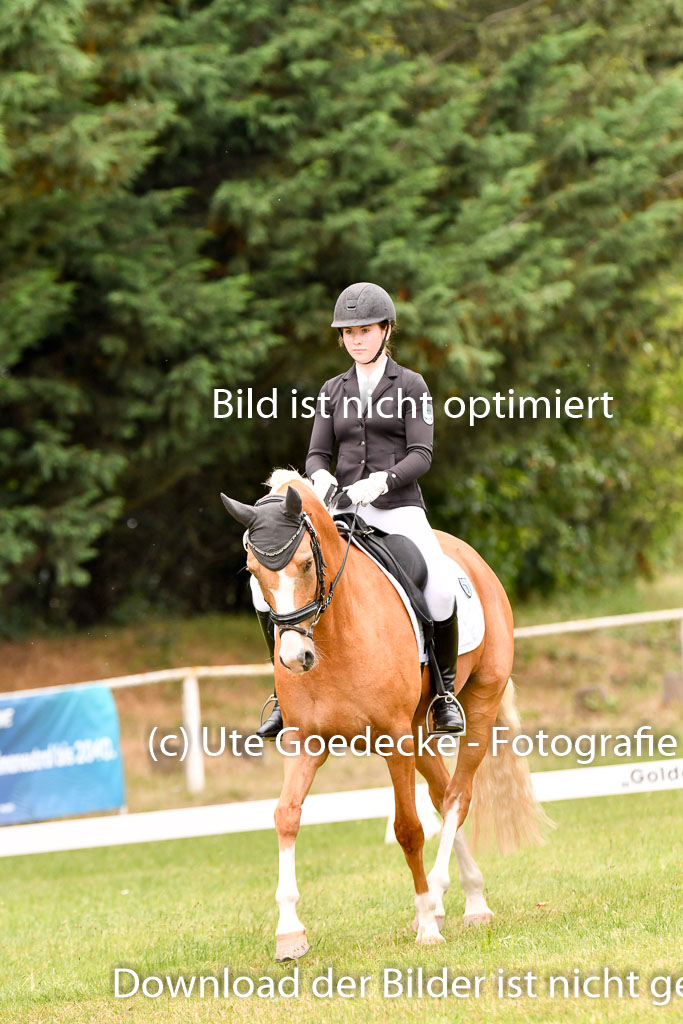 Goldene Schärpe Ponys in Hohenberg Krusemark 2024 | 12072024 Dressur _0908