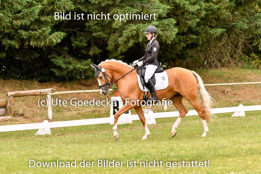 Goldene Schärpe Ponys in Hohenberg Krusemark 2024 | 12072024 Dressur _0911 