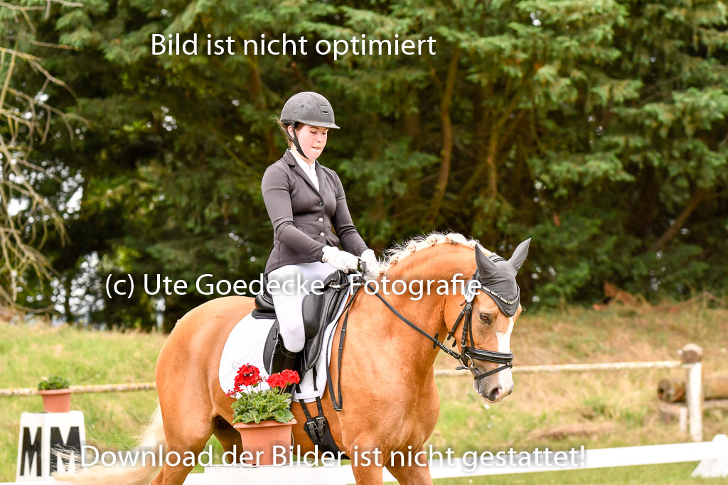 Goldene Schärpe Ponys in Hohenberg Krusemark 2024 | 12072024 Dressur _0912 