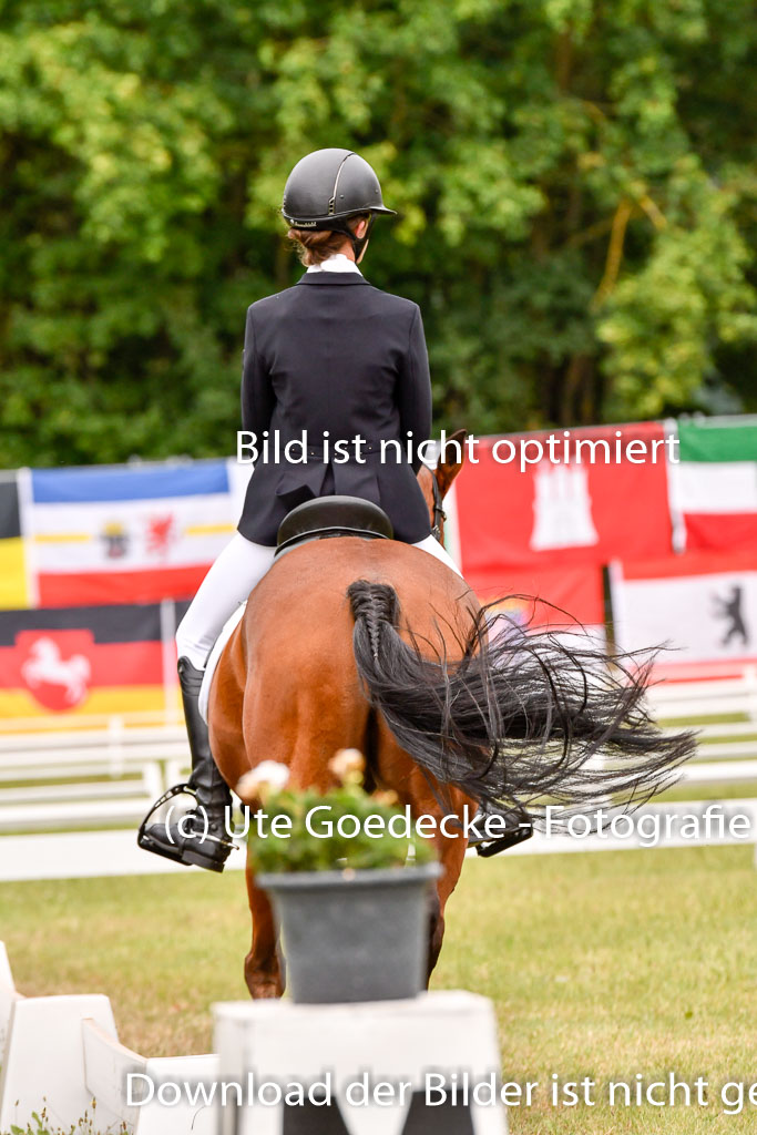 Goldene Schärpe Ponys in Hohenberg Krusemark 2024 | 12072024 Dressur _0913