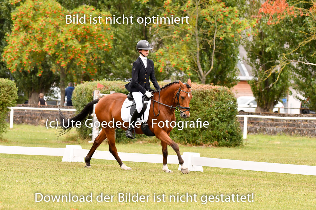 Goldene Schärpe Ponys in Hohenberg Krusemark 2024 | 12072024 Dressur _0915 