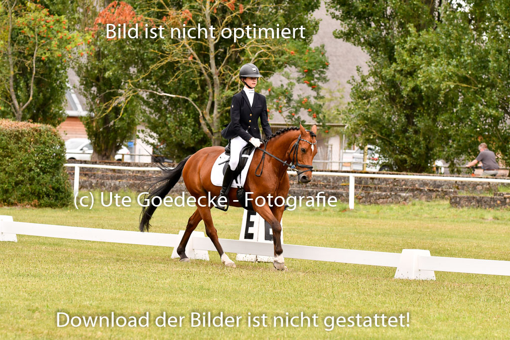 Goldene Schärpe Ponys in Hohenberg Krusemark 2024 | 12072024 Dressur _0916