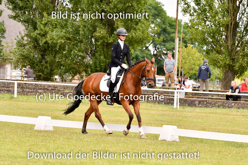 Goldene Schärpe Ponys in Hohenberg Krusemark 2024 | 12072024 Dressur _0917 