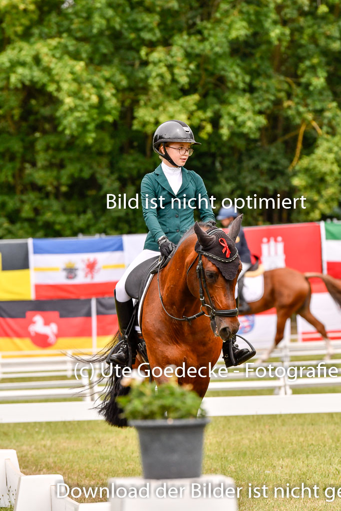 Goldene Schärpe Ponys in Hohenberg Krusemark 2024 | 12072024 Dressur _0921 