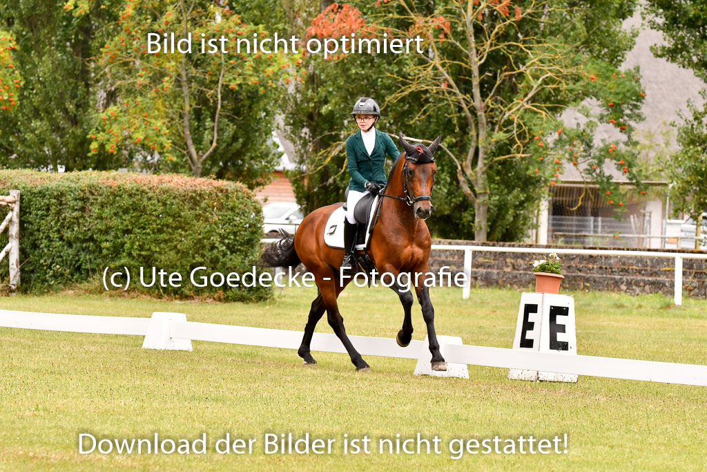 Goldene Schärpe Ponys in Hohenberg Krusemark 2024 | 12072024 Dressur _0924 