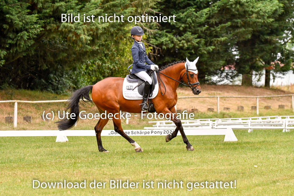 Goldene Schärpe Ponys in Hohenberg Krusemark 2024 | 12072024 Dressur _0925 