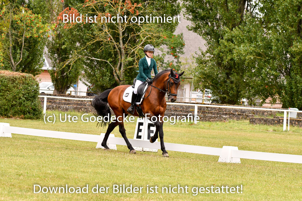 Goldene Schärpe Ponys in Hohenberg Krusemark 2024 | 12072024 Dressur _0927 