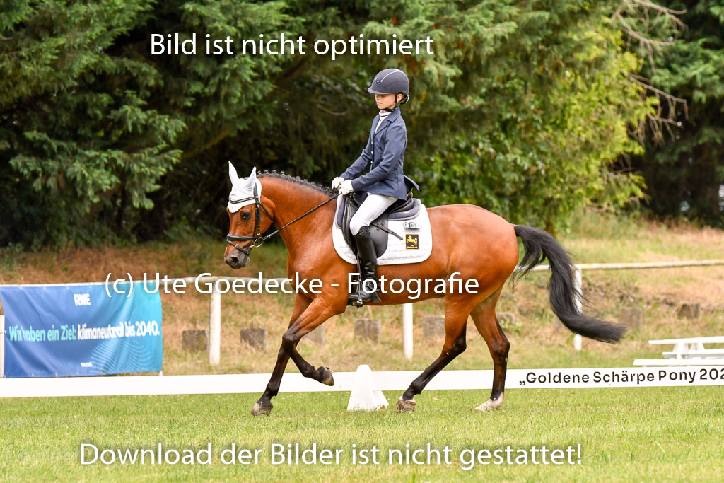 Goldene Schärpe Ponys in Hohenberg Krusemark 2024 | 12072024 Dressur _0929 