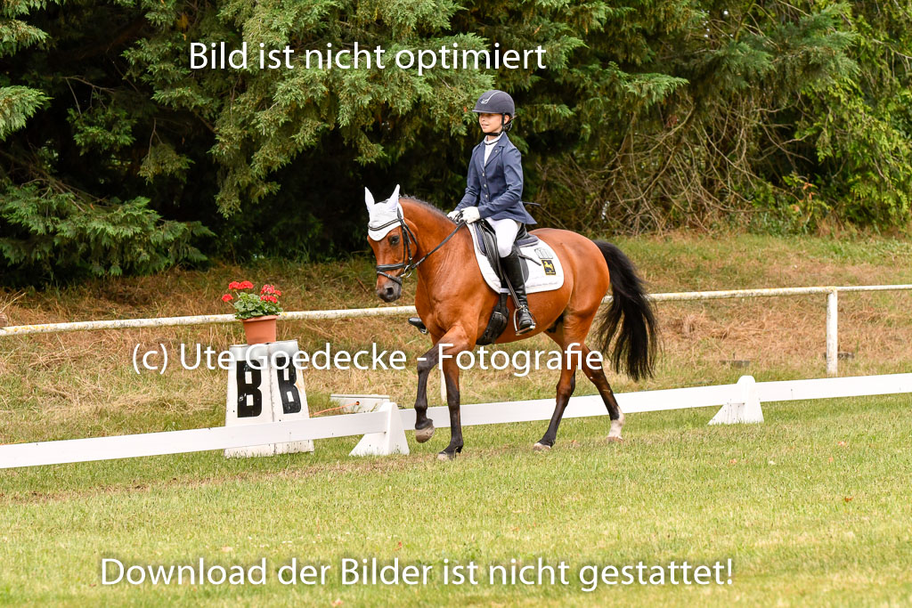 Goldene Schärpe Ponys in Hohenberg Krusemark 2024 | 12072024 Dressur _0932