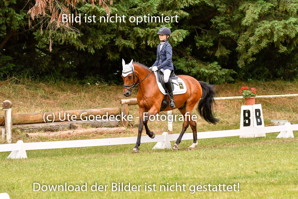 Goldene Schärpe Ponys in Hohenberg Krusemark 2024 | 12072024 Dressur _0933