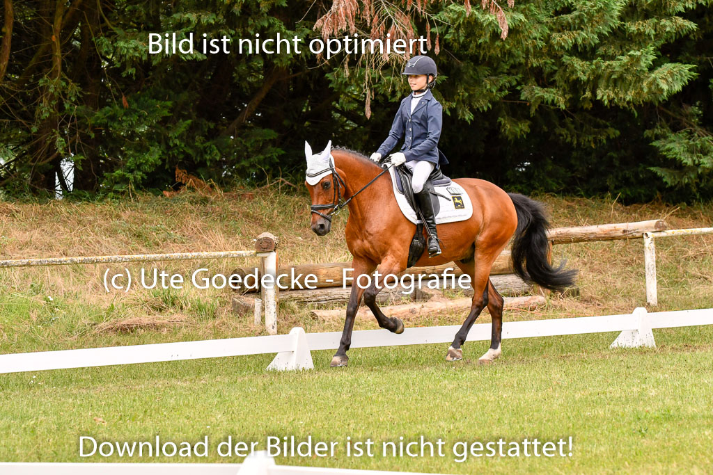 Goldene Schärpe Ponys in Hohenberg Krusemark 2024 | 12072024 Dressur _0934 