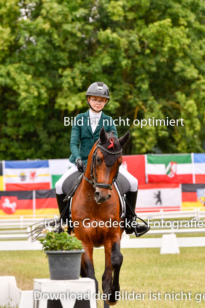 Goldene Schärpe Ponys in Hohenberg Krusemark 2024 | 12072024 Dressur _0935