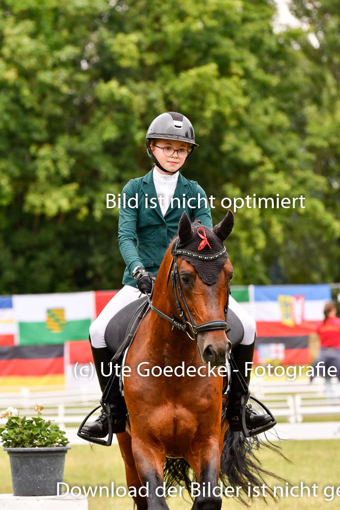 Goldene Schärpe Ponys in Hohenberg Krusemark 2024 | 12072024 Dressur _0936