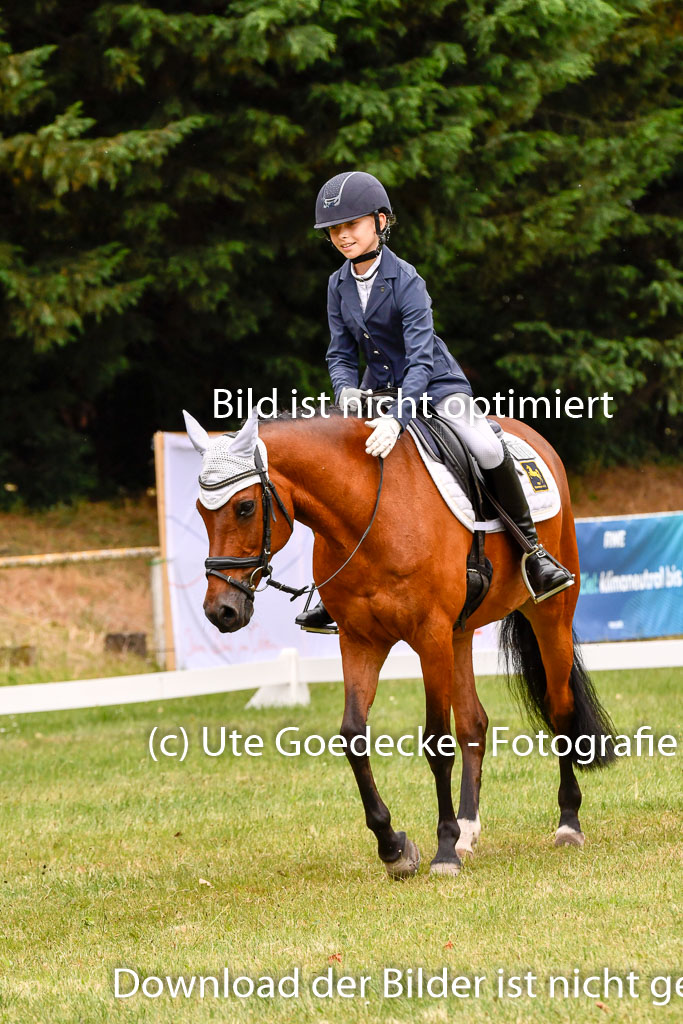 Goldene Schärpe Ponys in Hohenberg Krusemark 2024 | 12072024 Dressur _0938