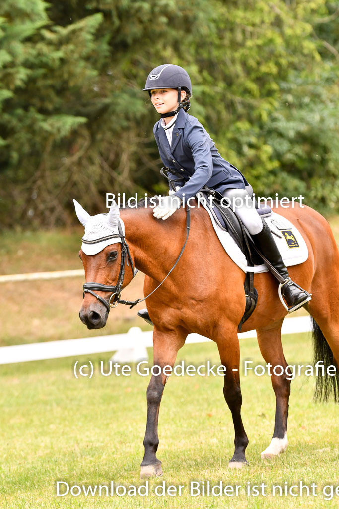 Goldene Schärpe Ponys in Hohenberg Krusemark 2024 | 12072024 Dressur _0940 