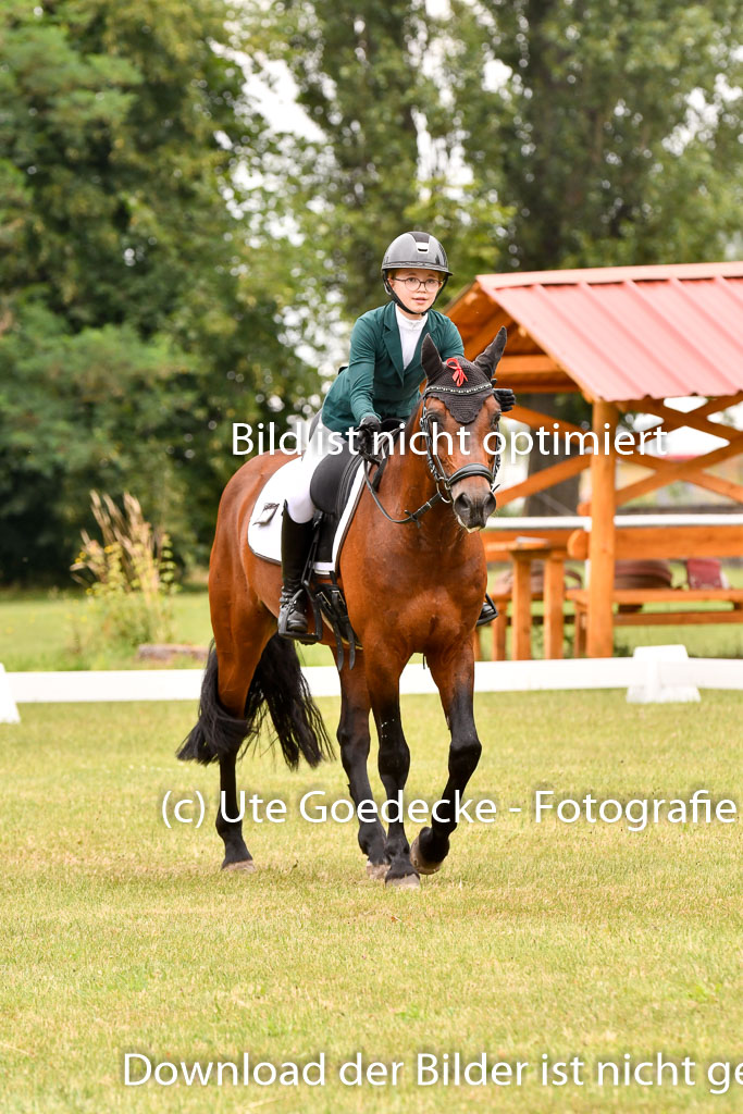 Goldene Schärpe Ponys in Hohenberg Krusemark 2024 | 12072024 Dressur _0941 