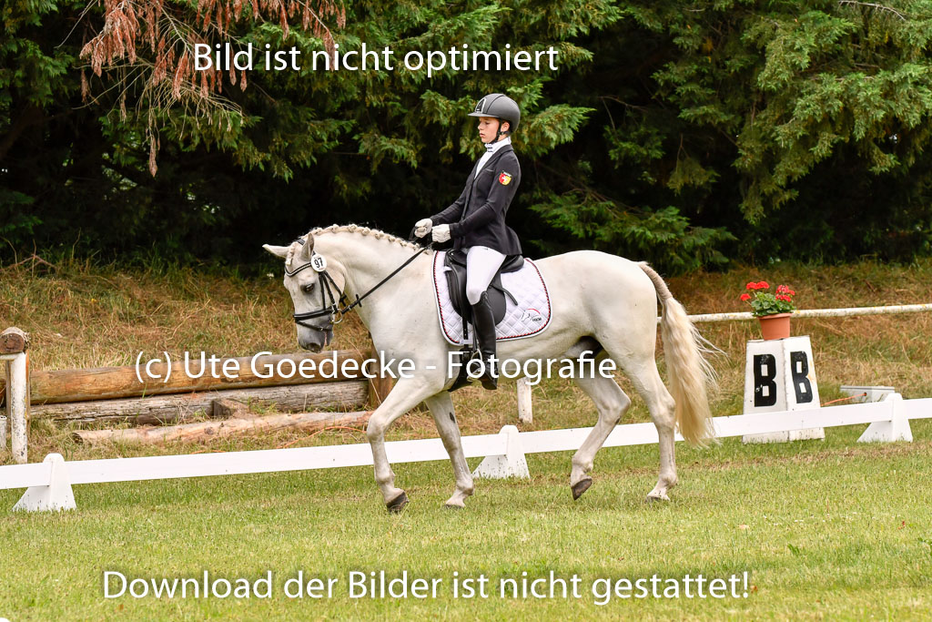 Goldene Schärpe Ponys in Hohenberg Krusemark 2024 | 12072024 Dressur _0947
