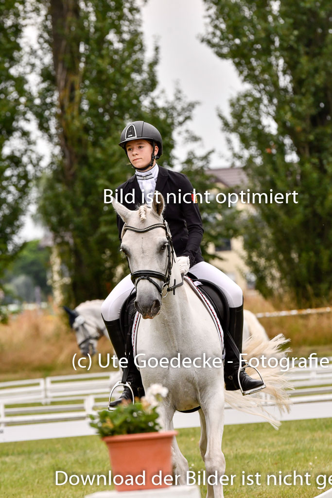 Goldene Schärpe Ponys in Hohenberg Krusemark 2024 | 12072024 Dressur _0951 