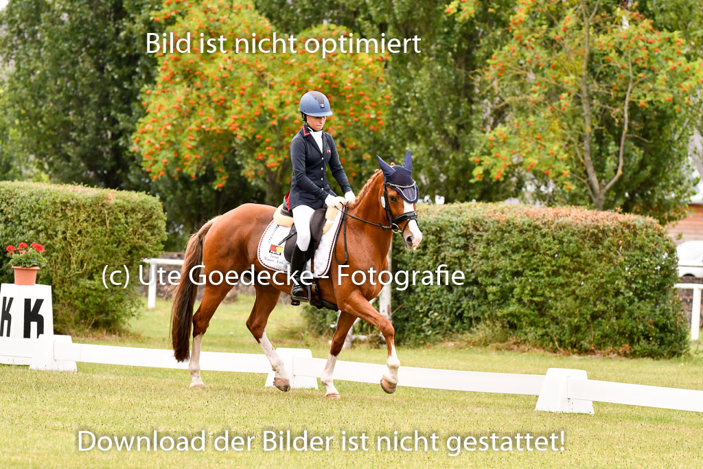 Goldene Schärpe Ponys in Hohenberg Krusemark 2024 | 12072024 Dressur _0952