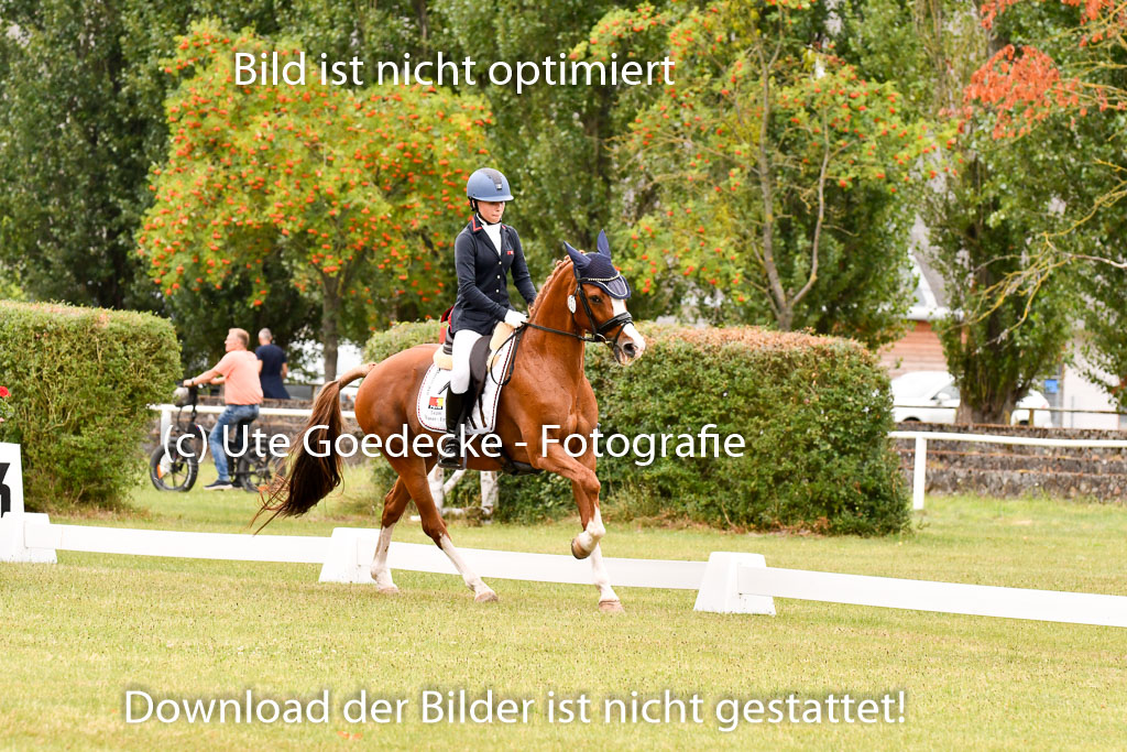 Goldene Schärpe Ponys in Hohenberg Krusemark 2024 | 12072024 Dressur _0953