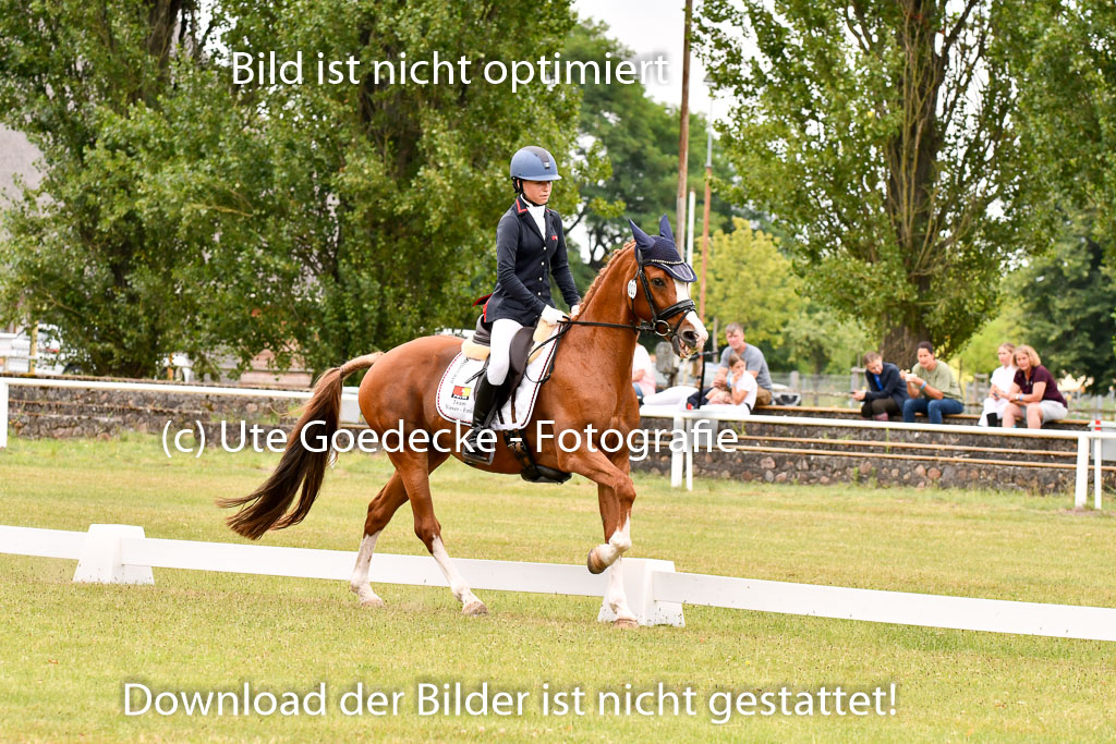 Goldene Schärpe Ponys in Hohenberg Krusemark 2024 | 12072024 Dressur _0954
