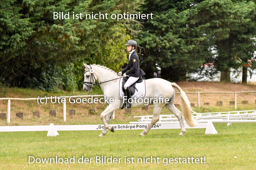 Goldene Schärpe Ponys in Hohenberg Krusemark 2024 | 12072024 Dressur _0956
