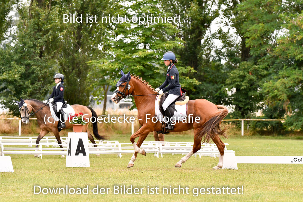 Goldene Schärpe Ponys in Hohenberg Krusemark 2024 | 12072024 Dressur _0957