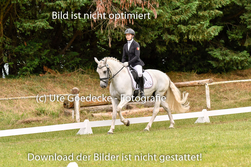 Goldene Schärpe Ponys in Hohenberg Krusemark 2024 | 12072024 Dressur _0958 