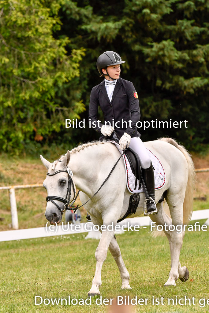 Goldene Schärpe Ponys in Hohenberg Krusemark 2024 | 12072024 Dressur _0960