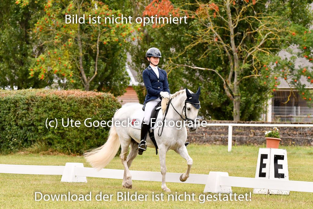 Goldene Schärpe Ponys in Hohenberg Krusemark 2024 | 12072024 Dressur _0963 