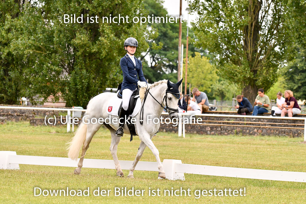 Goldene Schärpe Ponys in Hohenberg Krusemark 2024 | 12072024 Dressur _0964 