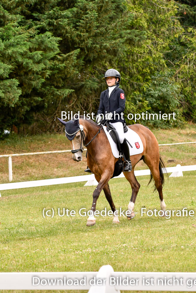 Goldene Schärpe Ponys in Hohenberg Krusemark 2024 | 12072024 Dressur _0966