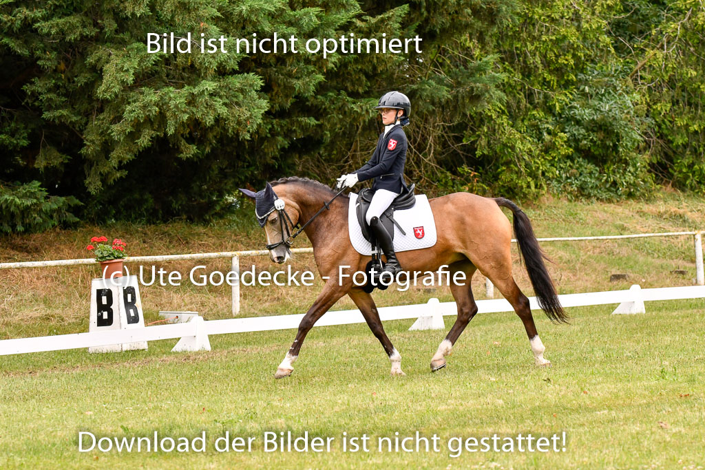 Goldene Schärpe Ponys in Hohenberg Krusemark 2024 | 12072024 Dressur _0969