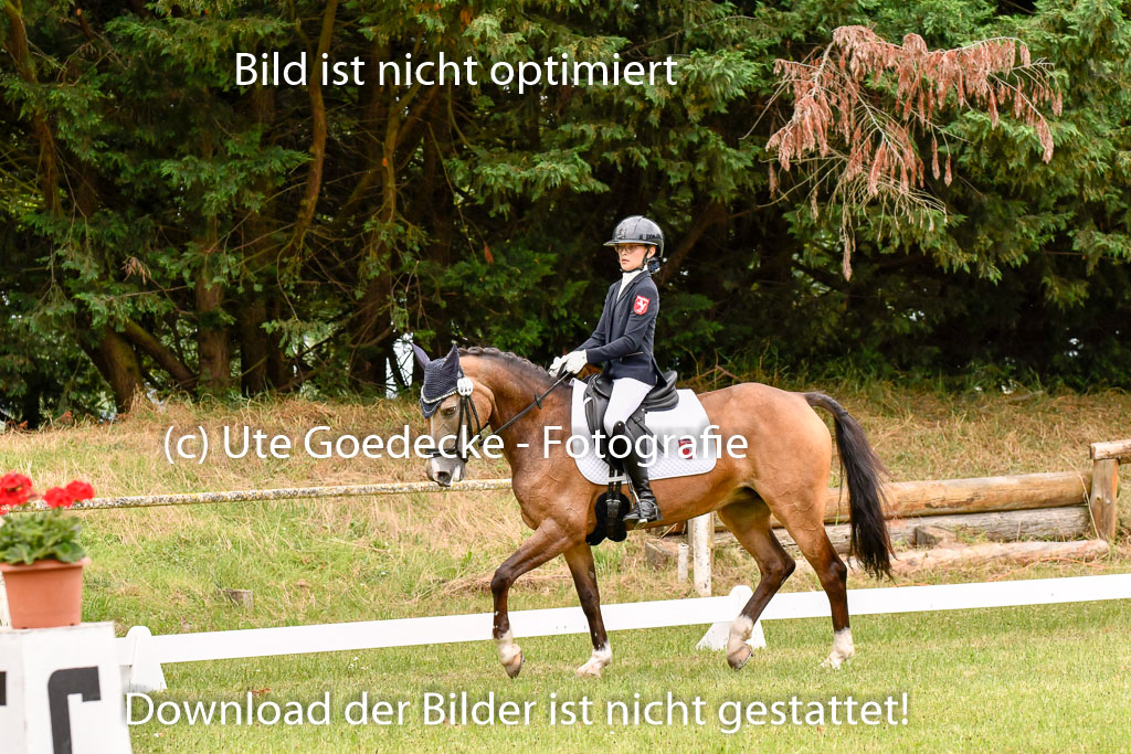 Goldene Schärpe Ponys in Hohenberg Krusemark 2024 | 12072024 Dressur _0970 