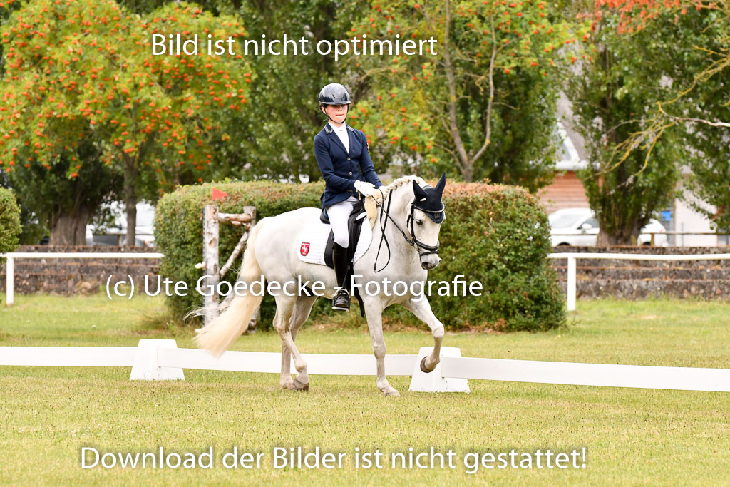 Goldene Schärpe Ponys in Hohenberg Krusemark 2024 | 12072024 Dressur _0972 